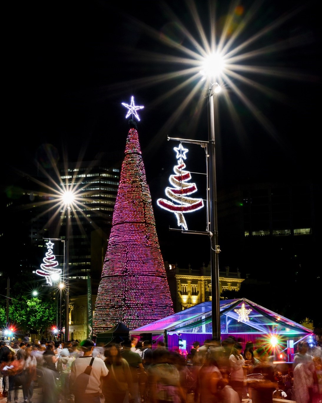 Adelaide tree