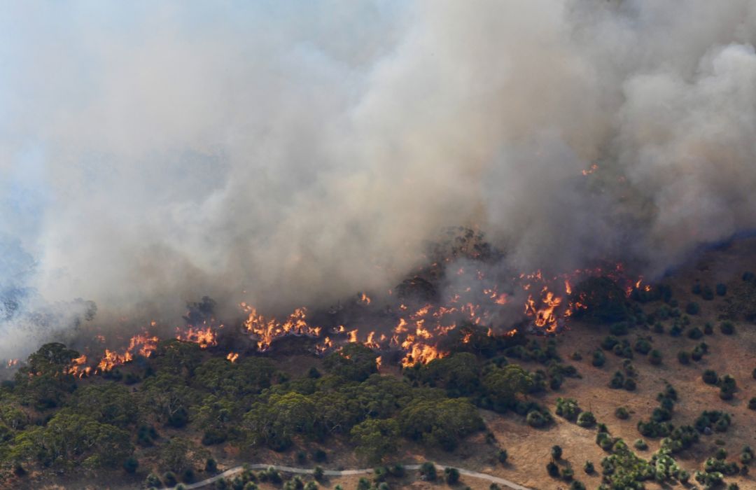 Deep Creek Fires