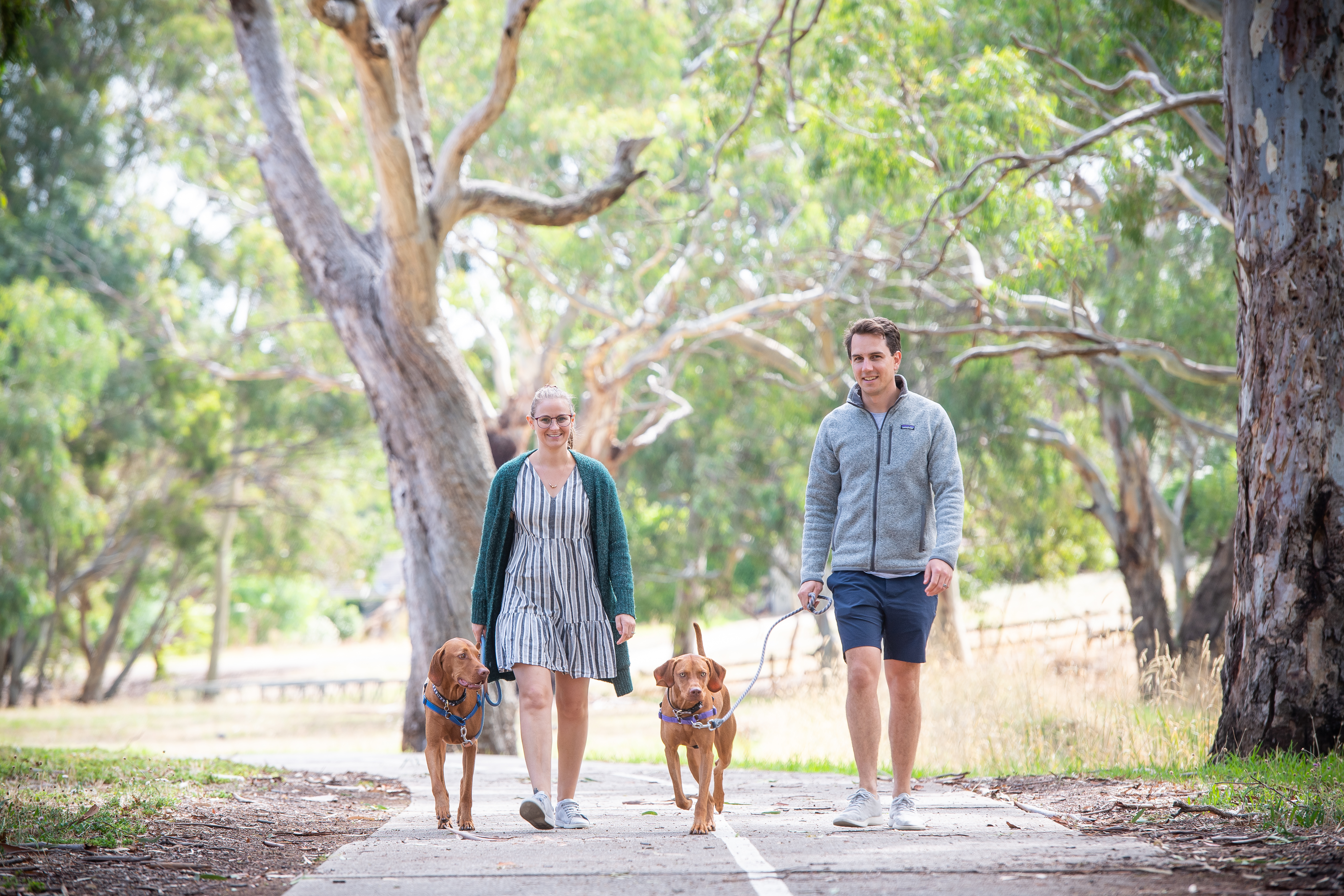 couple walking with dogs