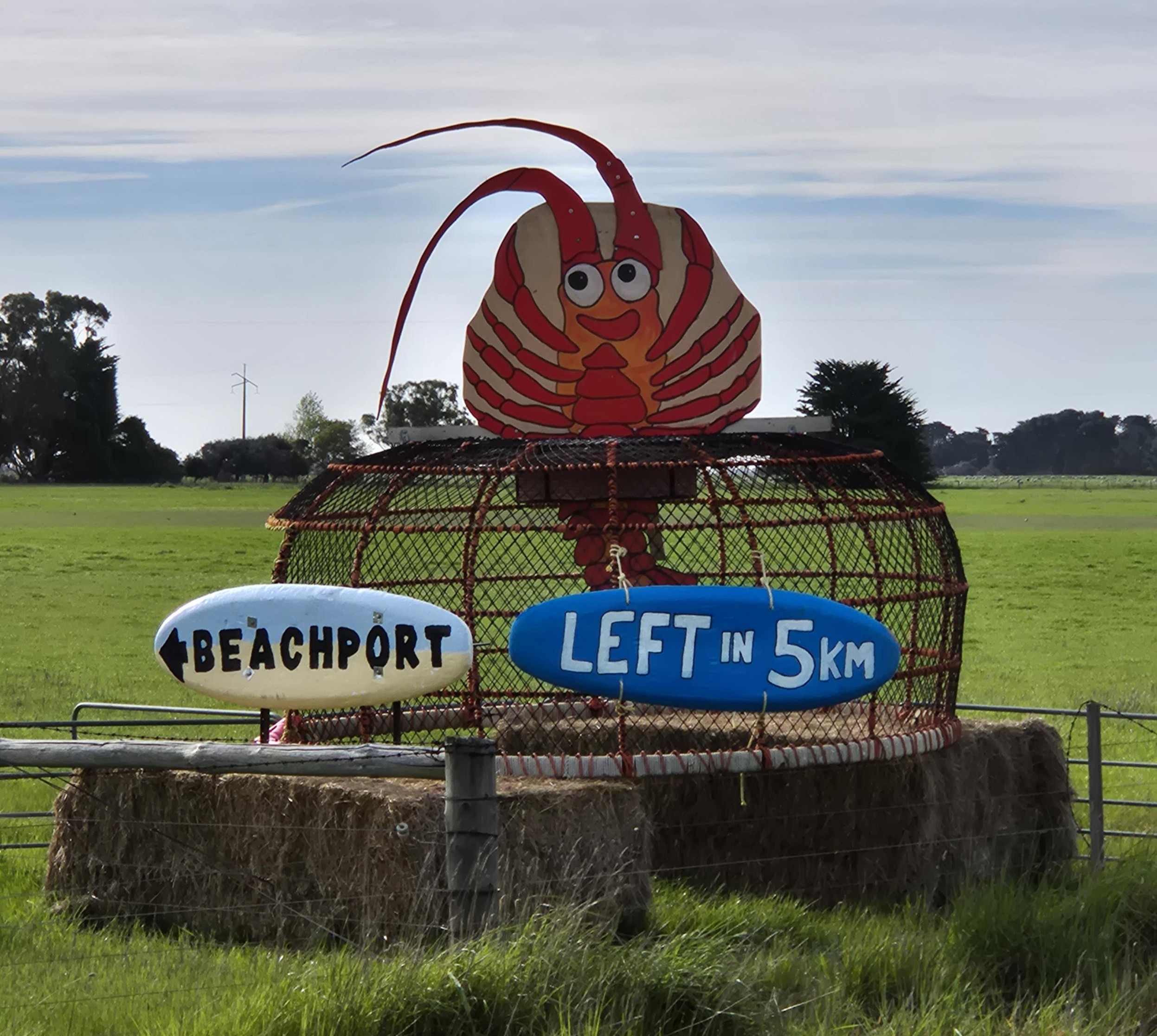 Wattle Range Council lobster